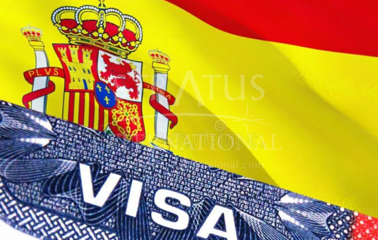 Resumen de visa no lucrativa (NLV)