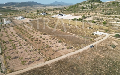 Terrain - A vendre - Pinoso - Pinoso