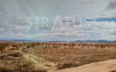Land - For Sale - Yecla - RASPAY