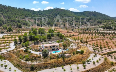 Villa - A vendre - Pinoso - Pinoso