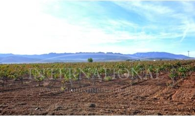 Land - For Sale - Pinoso - Pinoso