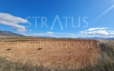Land - For Sale - Yecla - Rural location