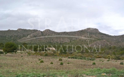 Land - For Sale - Yecla - Rural location