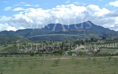Country House - For Sale - Torre Del Rico - Rural location