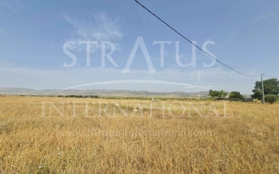 Terrain - A vendre - Yecla - Rural location