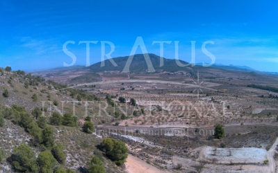 Land - For Sale - Pinoso - Rural location