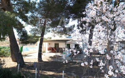 Country House - For Sale - Yecla - Rural location
