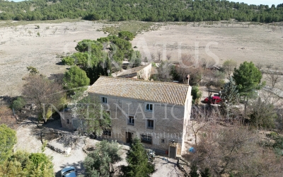 Country House - For Sale - Villena - In hamlet