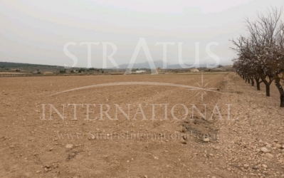 Terrain - A vendre - Pinoso - Rural location