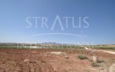 Land - For Sale - Pinoso - Rural location