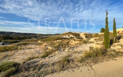Land - For Sale - Abanilla - Edge of town