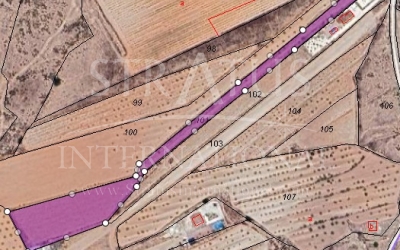 Land - For Sale - Pinoso - Pinoso - El Pinós