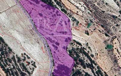 Land - Under Offer - Monovar - Monovar