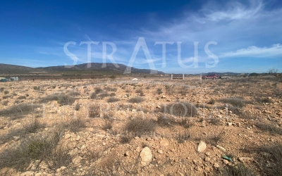 Land - For Sale - Pinoso - Rural location