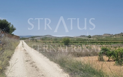 Land - For Sale - Pinoso - Pinoso - El Pinós