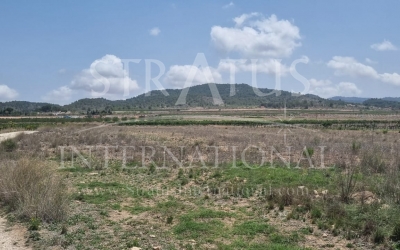 Land - For Sale - Pinoso - Pinoso