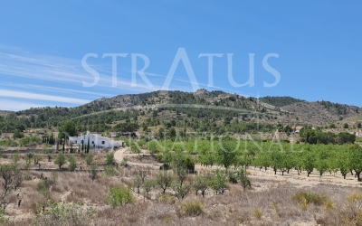 Land - For Sale - Monóvar/Monóver - Monovar