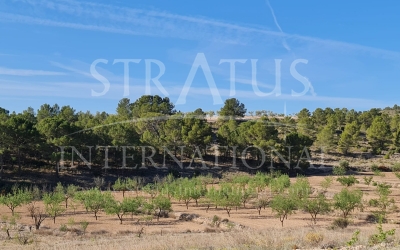 Land - For Sale - Raspay - Rural location