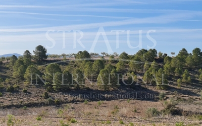 Land - For Sale - Raspay - Rural location