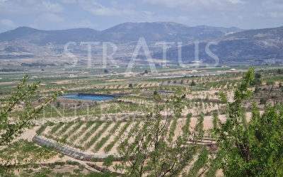 Land - Under Offer - Yecla - Rural location