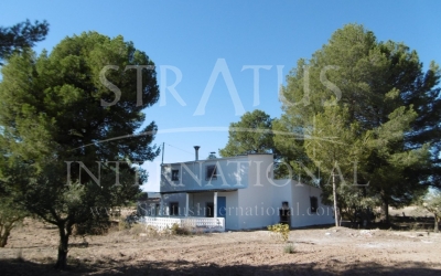 Villa - A vendre - Yecla - Rural location