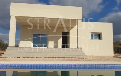Villa - New build - Pinoso - Rural location