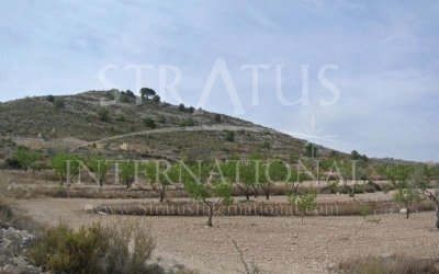 Terrain - A vendre - Jumilla - Rural location