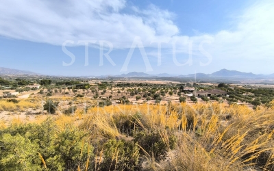 Land - For Sale - Sax - Rural location