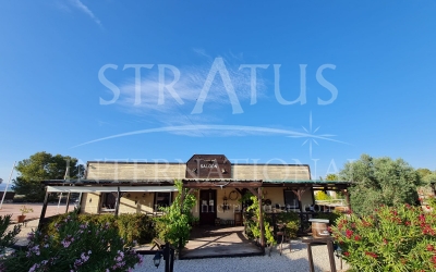 Villa - For Sale - Monovar - Rural location