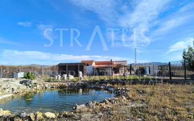 Villa - For Sale - Villena - Rural location