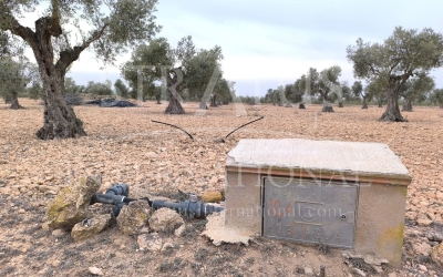 Land - For Sale - Yecla - Rural location