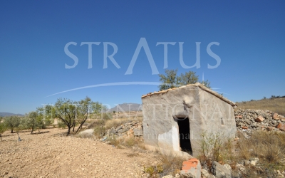 Land - For Sale - Torre Del Rico - Rural location