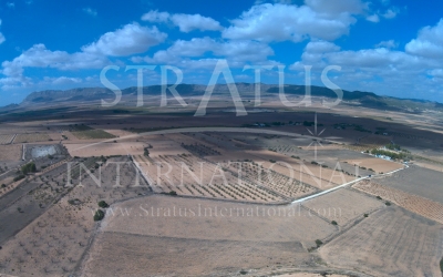 Terrain - A vendre - Yecla - Rural location