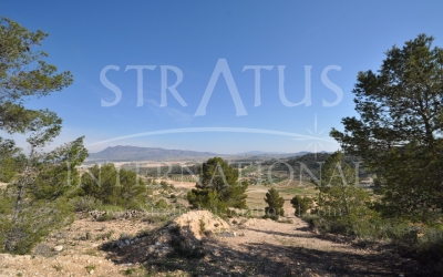Land - For Sale - La Zarza - Rural location