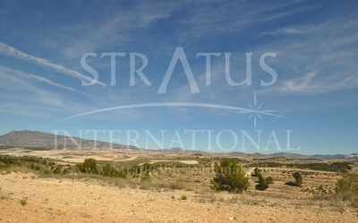 Land - For Sale - La Zarza - Rural location