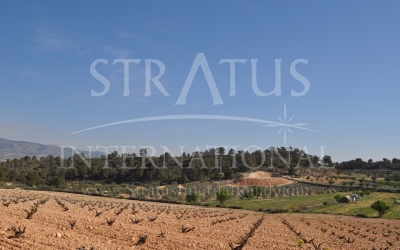 Land - For Sale - La Zarza - Rural location
