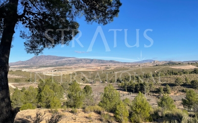 Land - For Sale - La Zarza - Rural location