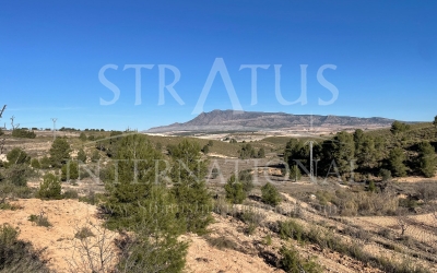Land - For Sale - La Zarza - Rural location