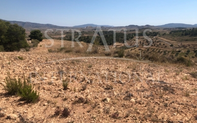 Land - For Sale - La Zarza - Rural location