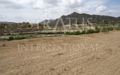 Land - For Sale - Abanilla - Inland