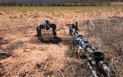 Terrain - A vendre - Yecla - Inland