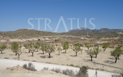 Land - For Sale - Abanilla - Inland