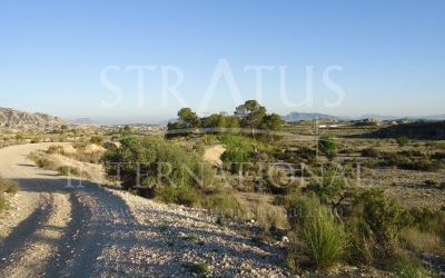 Land - For Sale - Abanilla - Rural location