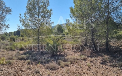 Terrain - A vendre - Monovar - Monovar