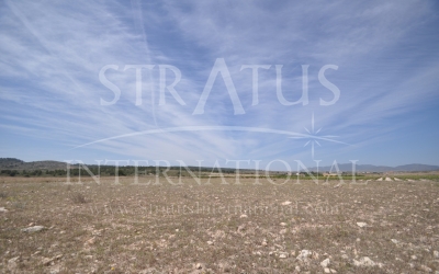 Land - For Sale - Pinoso - Rural location