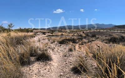 Land - For Sale - Jumilla - Jumilla