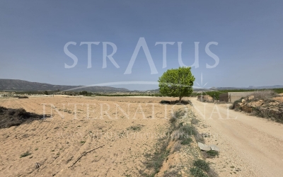 Land - For Sale - Pinoso - Rural location