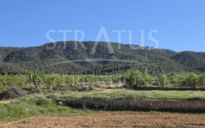 Land - For Sale - Monovar - Monovar