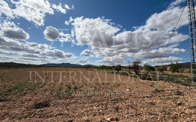 Land - For Sale - Pinoso - Pinoso
