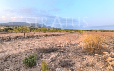 Terrain - A vendre - Pinoso - Rural location